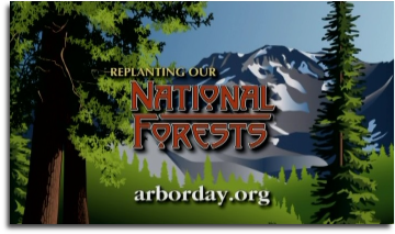 pp786ebb4a.png